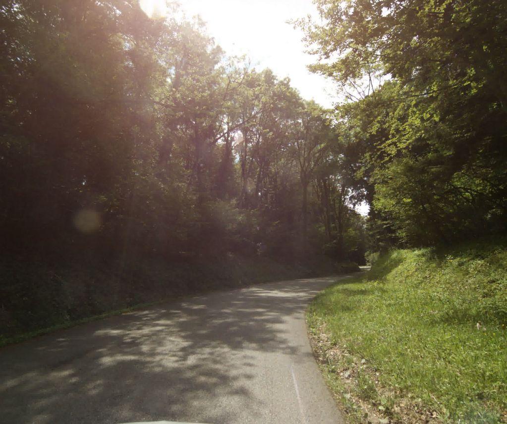 View at km 1.4