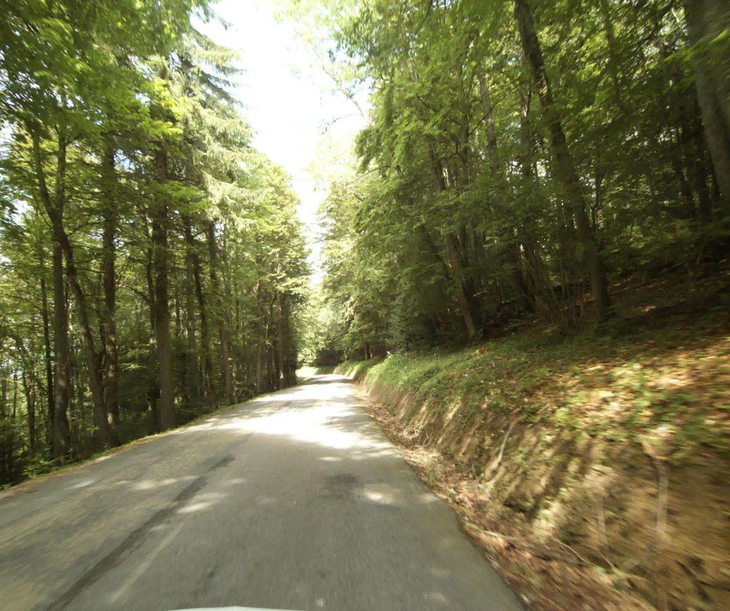 View at km 1.9