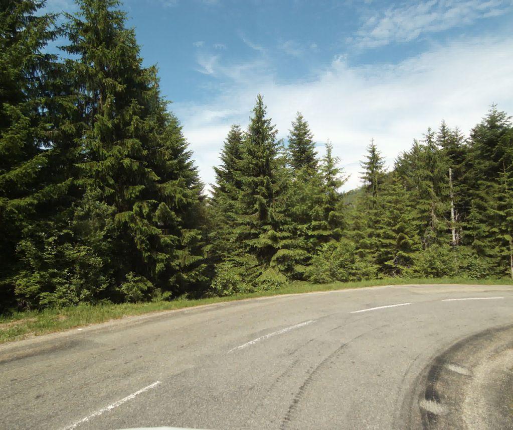 View at km 4.7