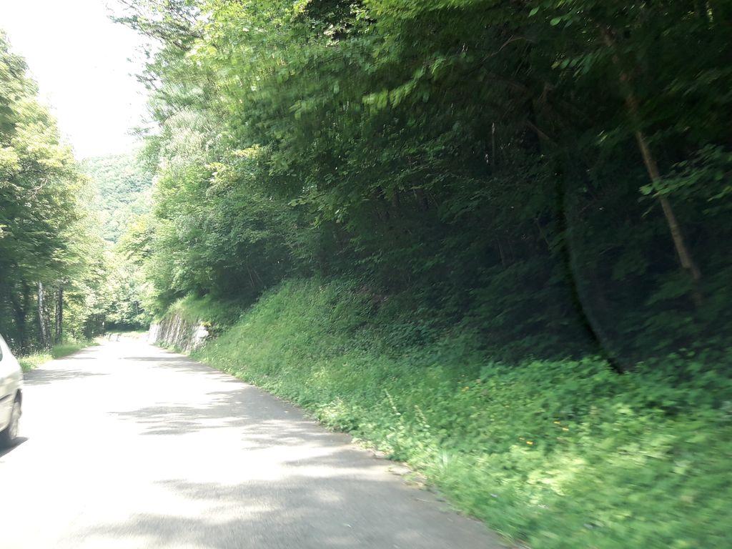 View at km 1.5