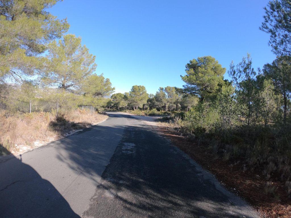 View at km 0.8