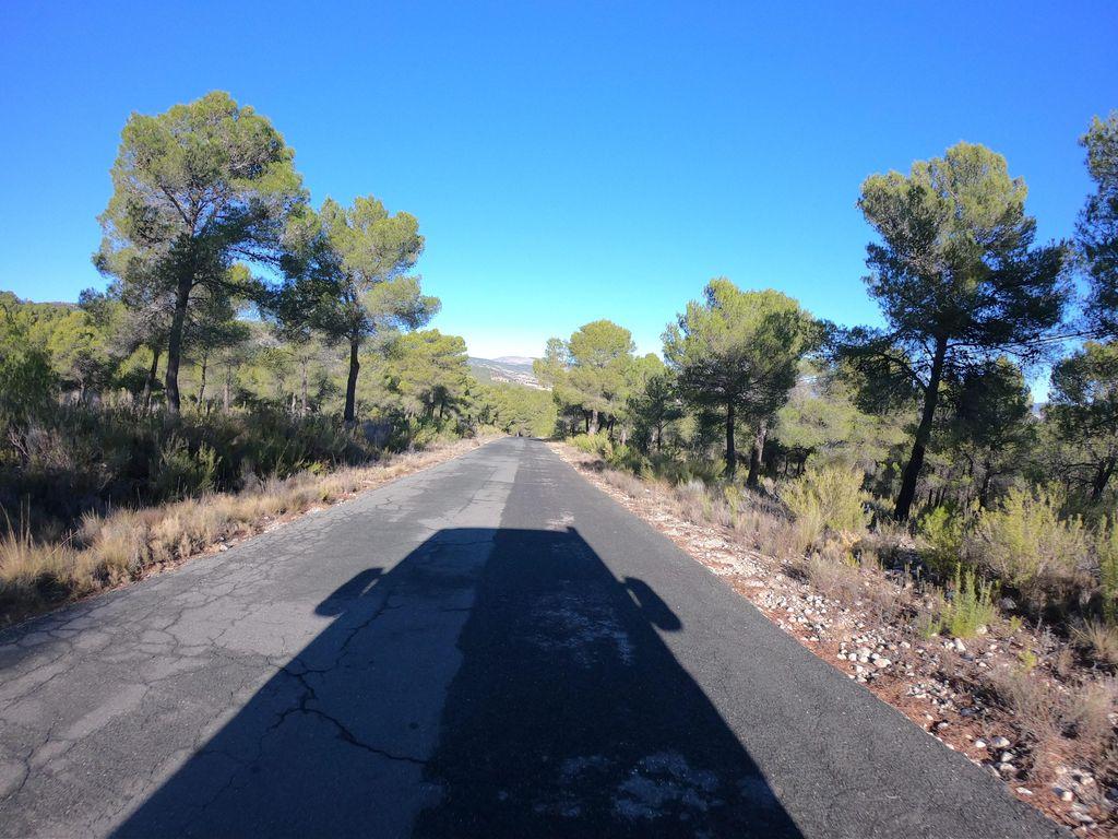 View at km 1.4