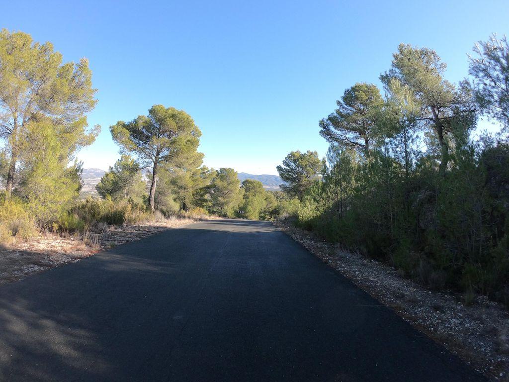View at km 1.9