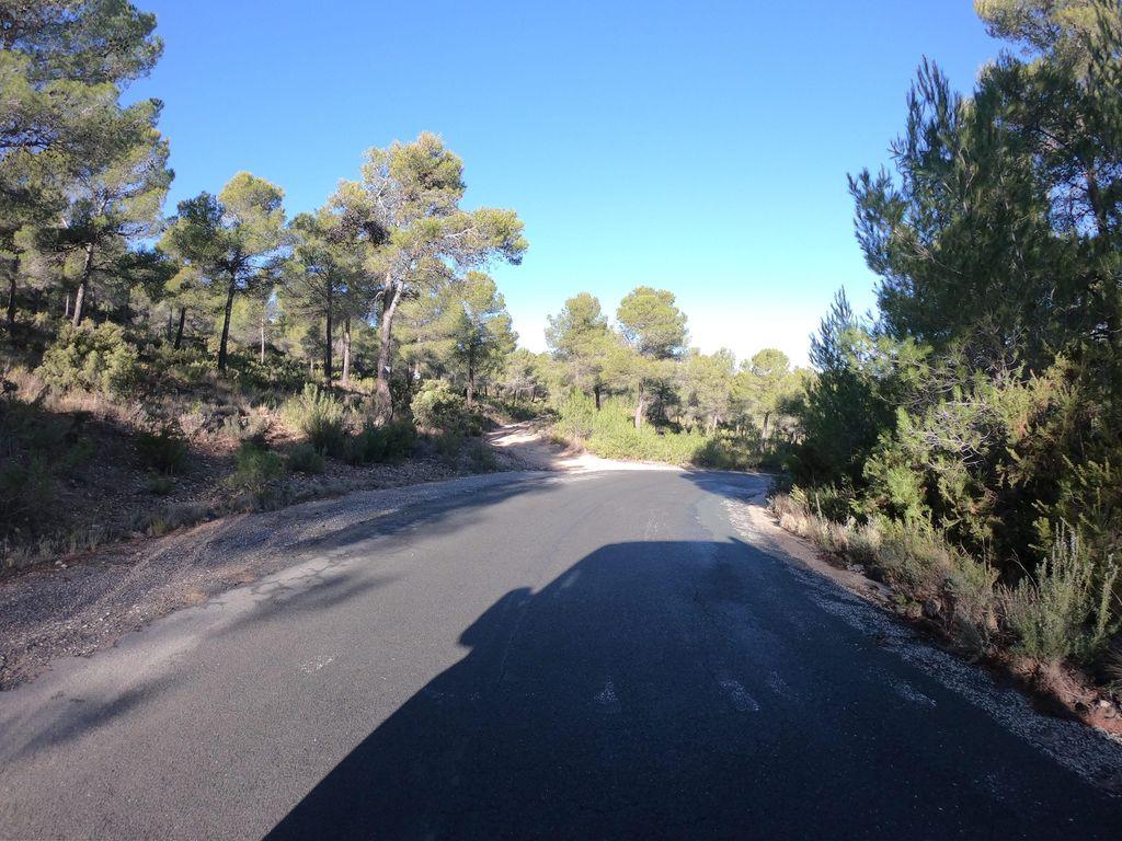 View at km 2.4
