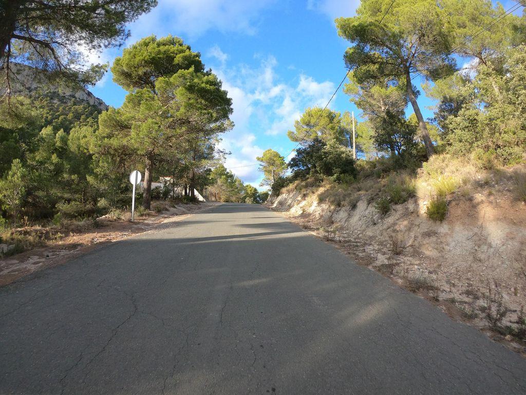 View at km 3.8