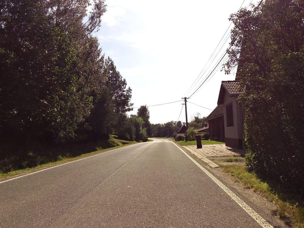 View at km 0.3