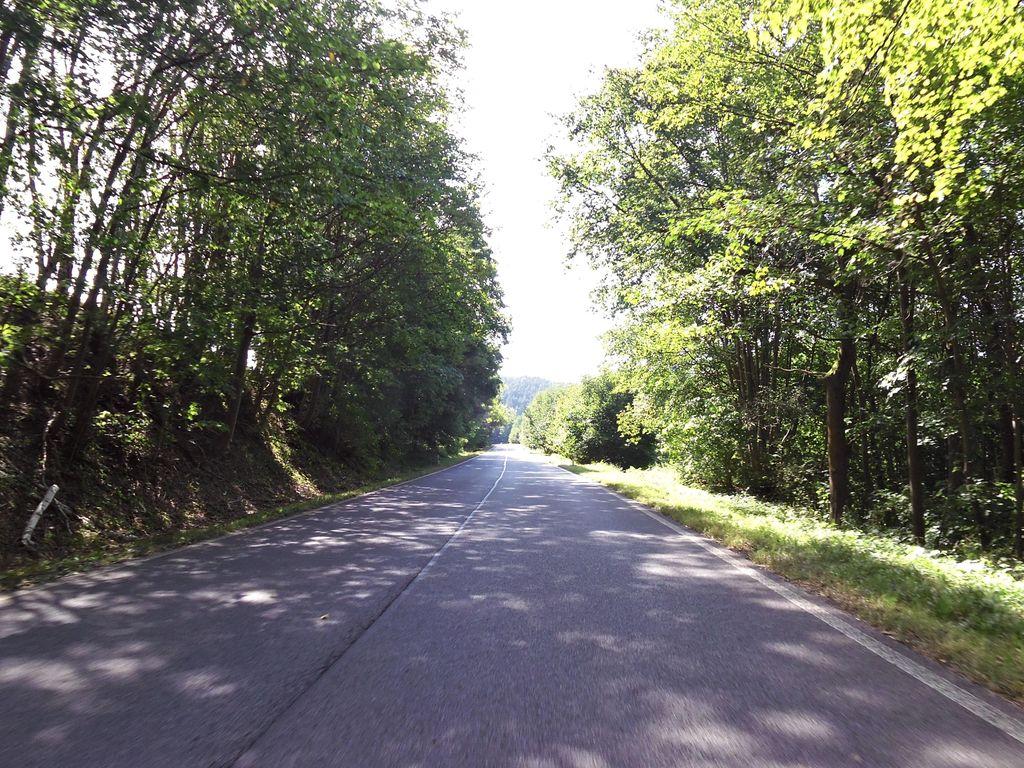 View at km 1.3