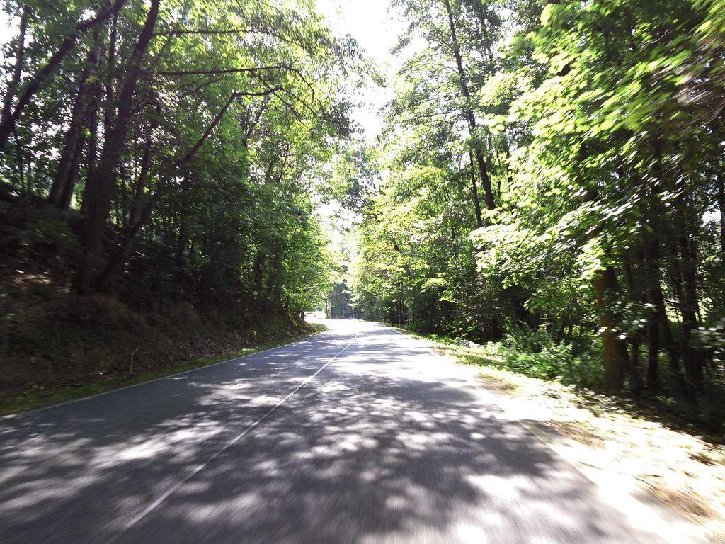 View at km 2.4