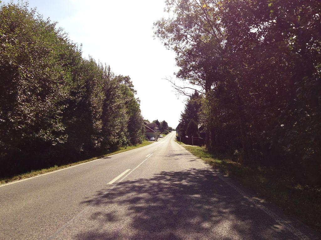 View at km 5.5