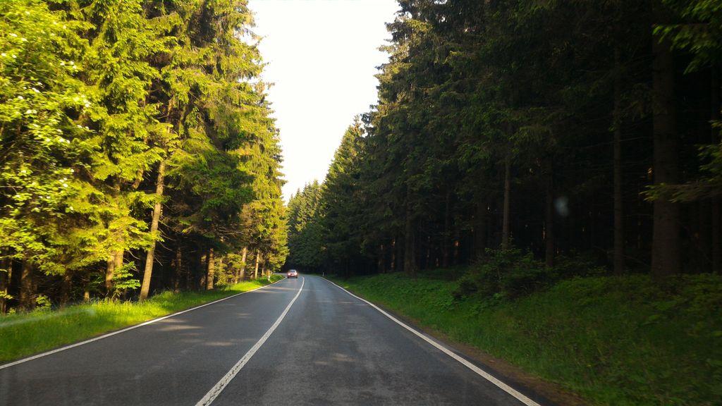 View at km 5.6