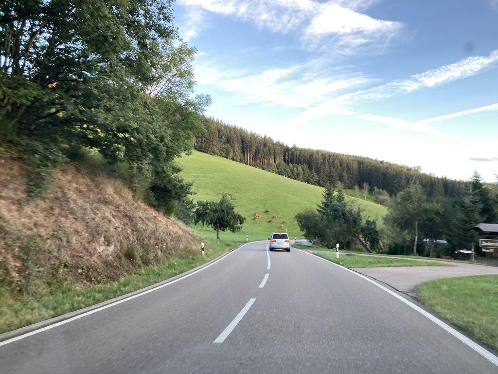 View at km 3