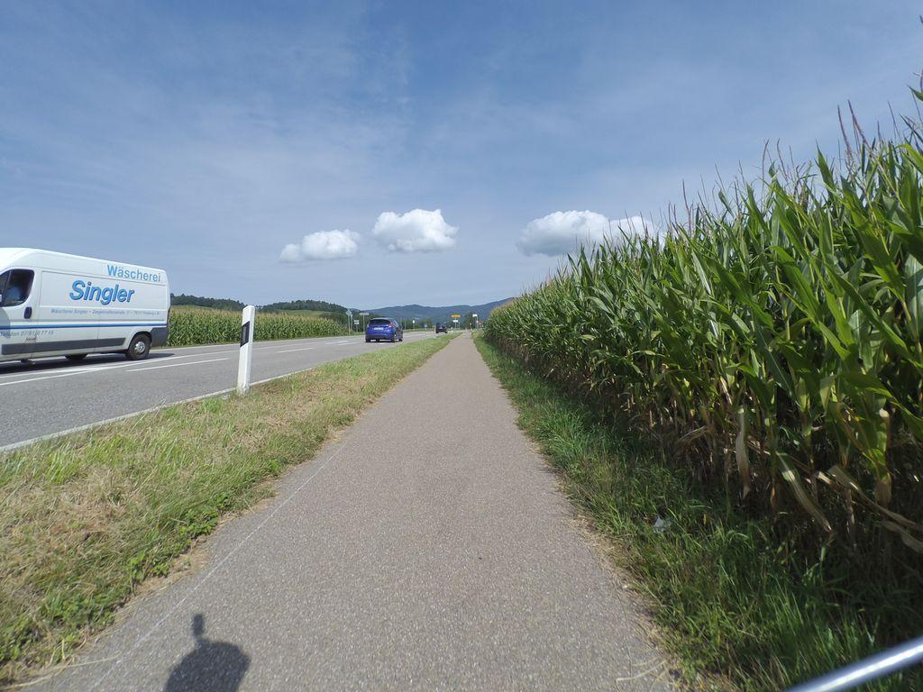 View at km 0.8