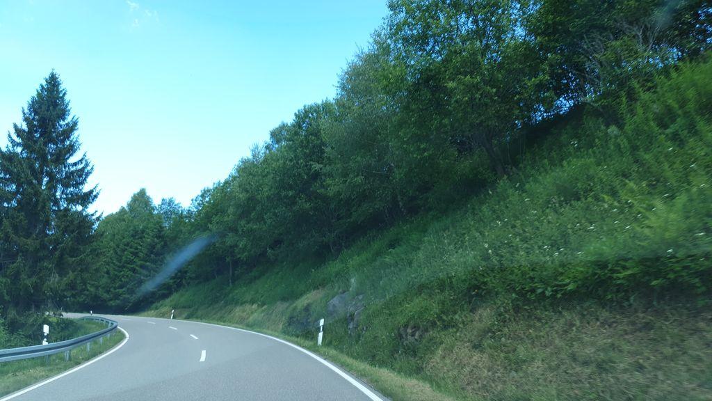 View at km 5.6
