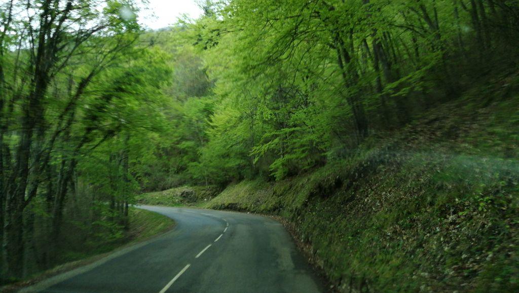 View at km 4.5