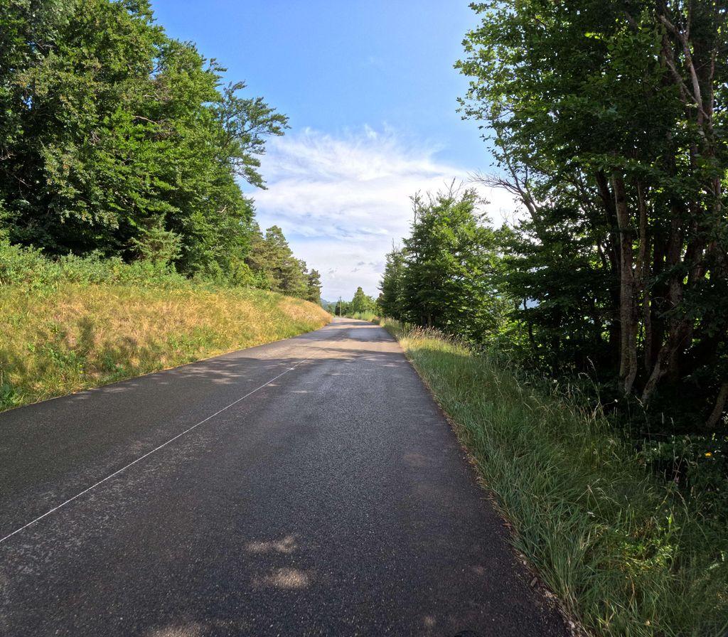 View at km 14.5