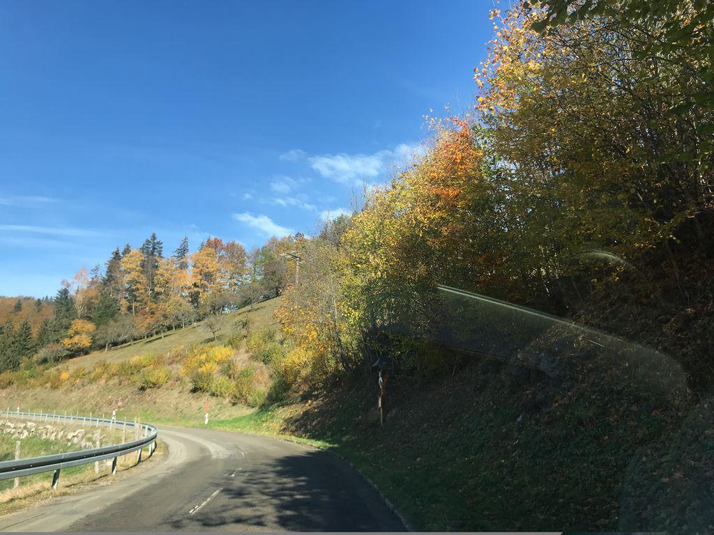 View at km 11.2