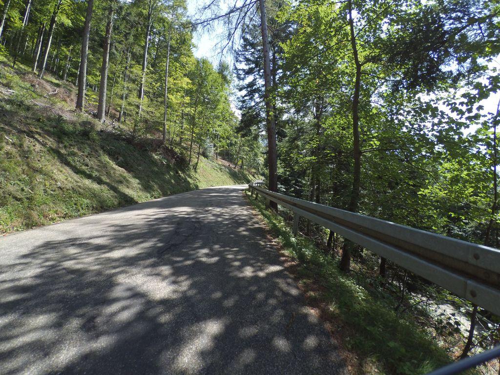 View at km 6