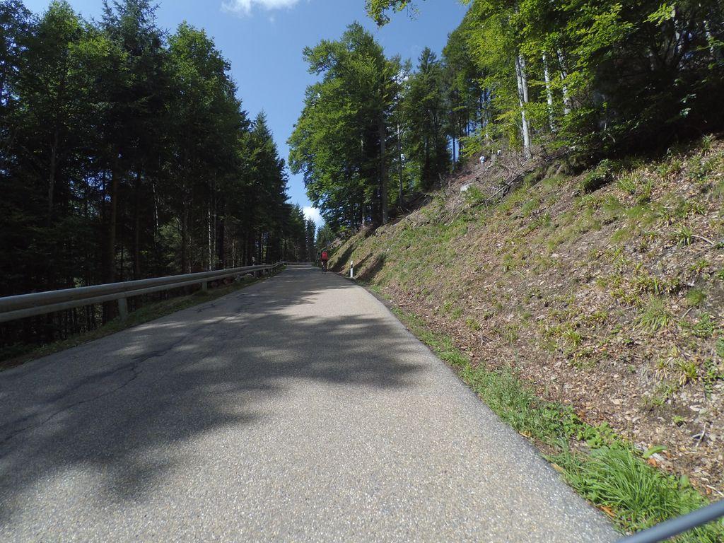 View at km 9.7