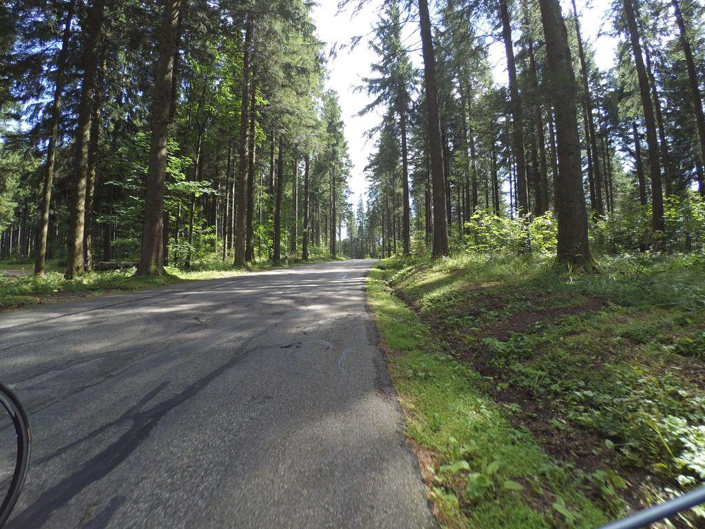 View at km 10.2