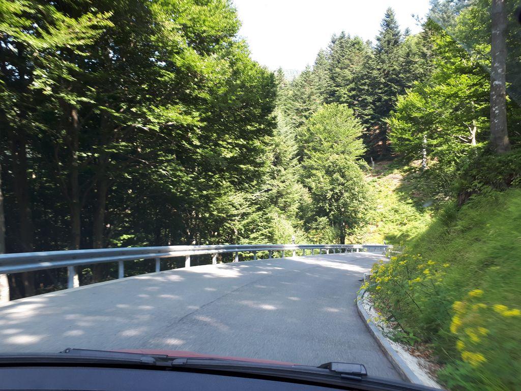 View at km 11.3
