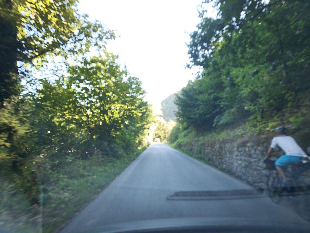 View at km 1.8