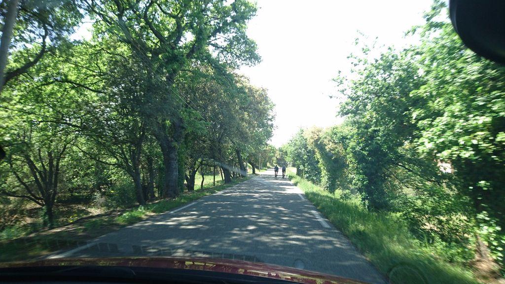 View at km 3