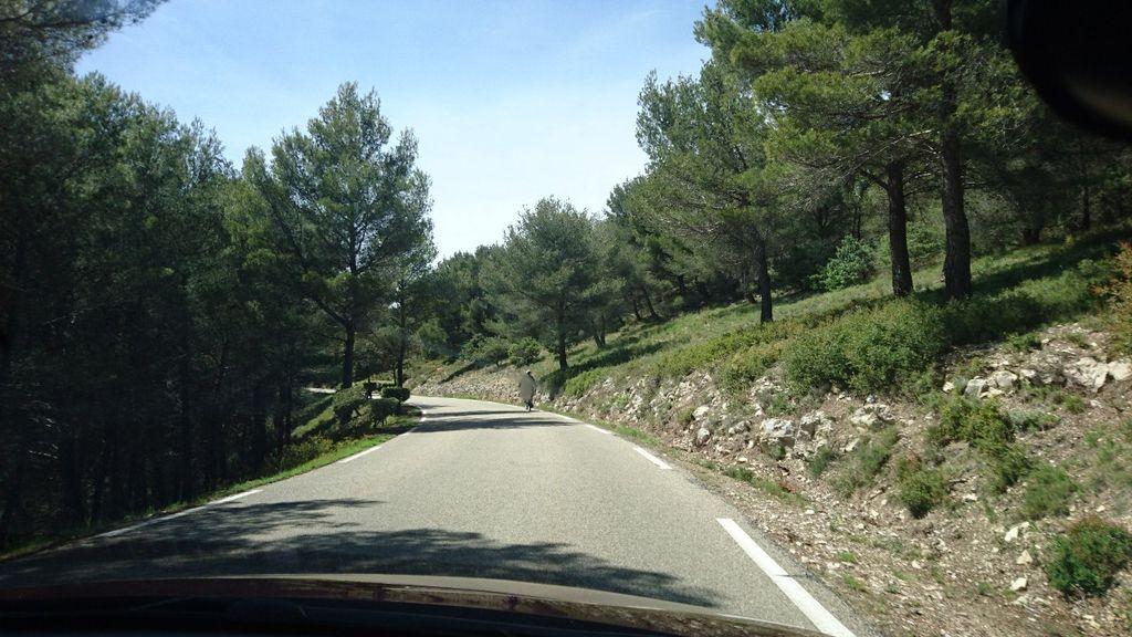 View at km 7.9