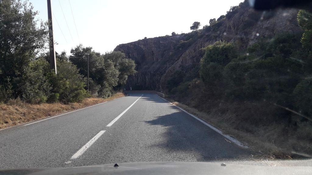 View at km 0.3
