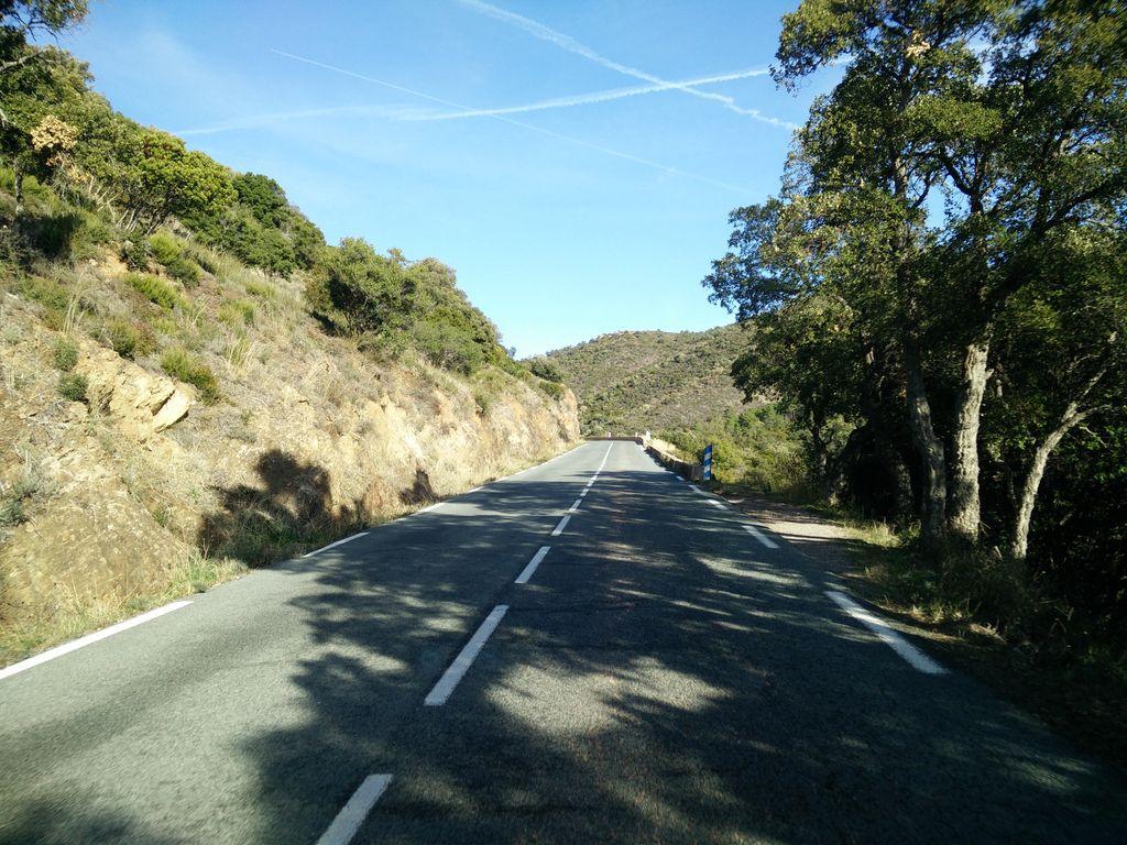 View at km 1.4