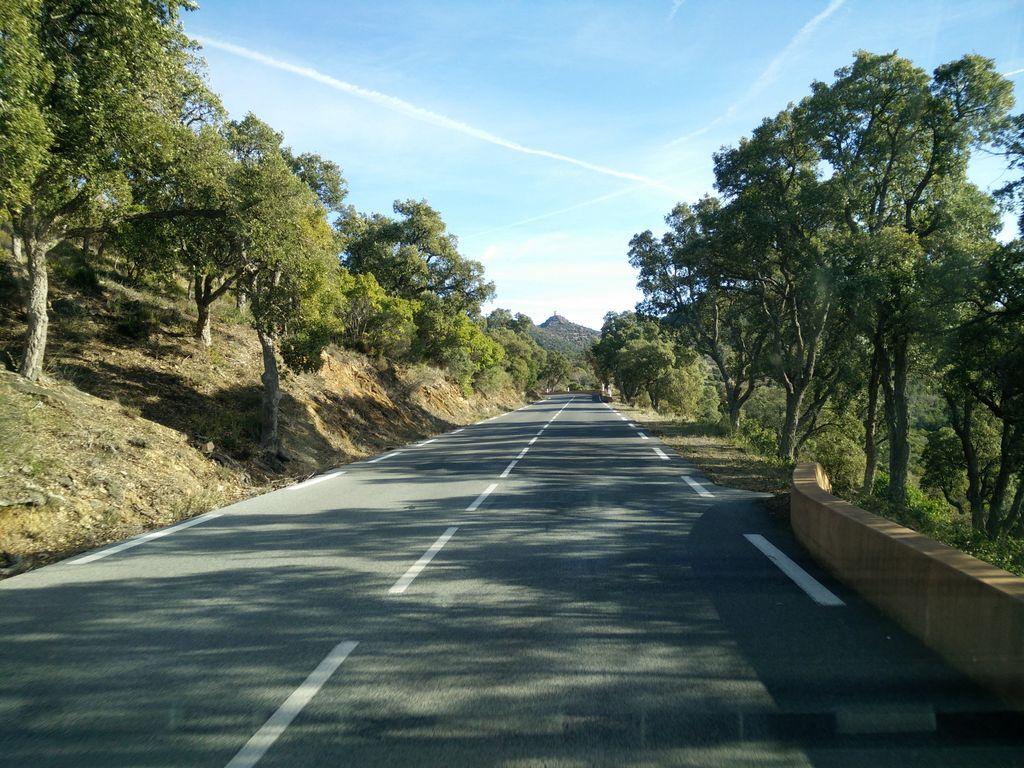 View at km 5.1