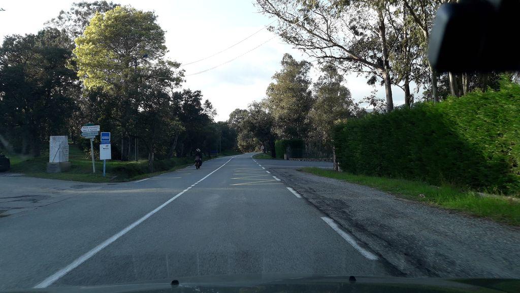 View at km 2.3