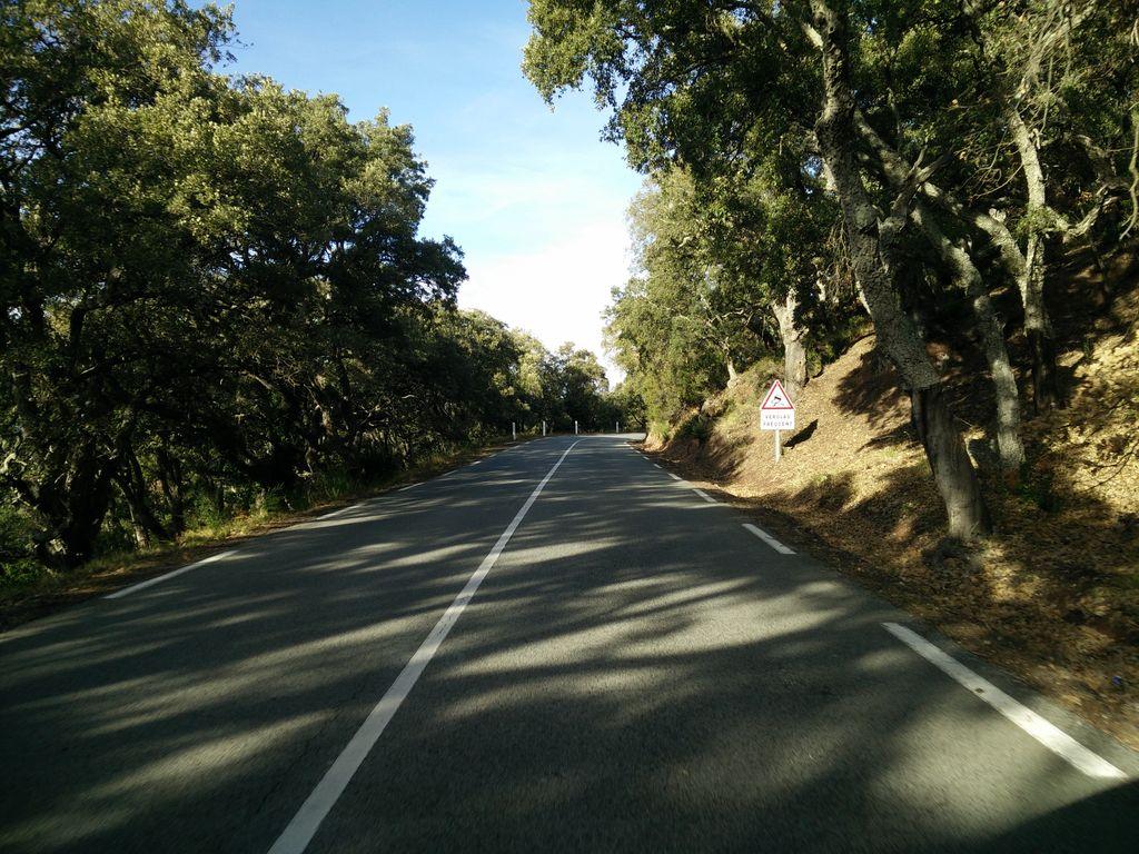 View at km 13.2