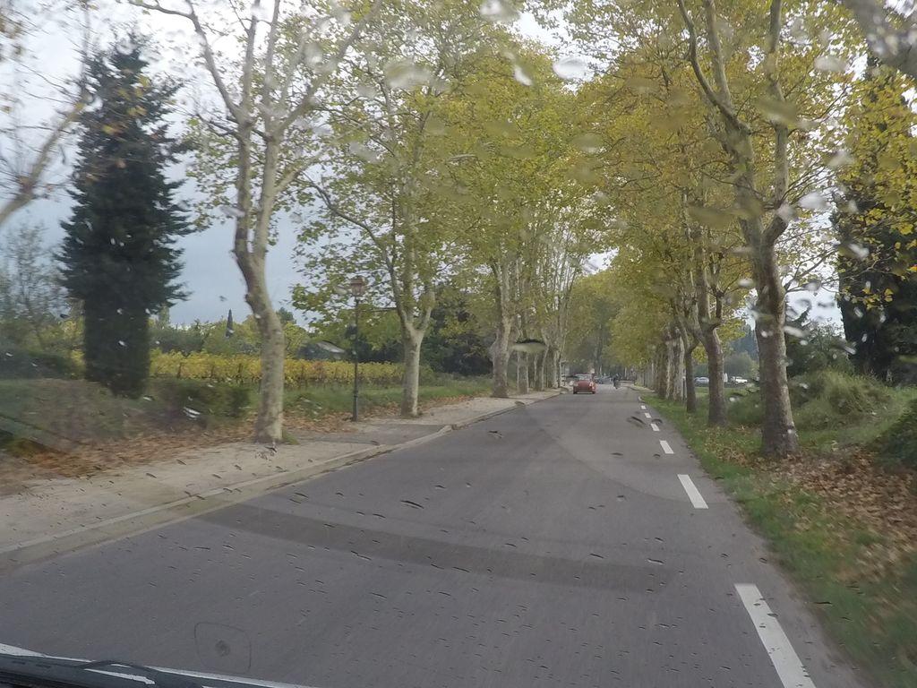 View at km 5