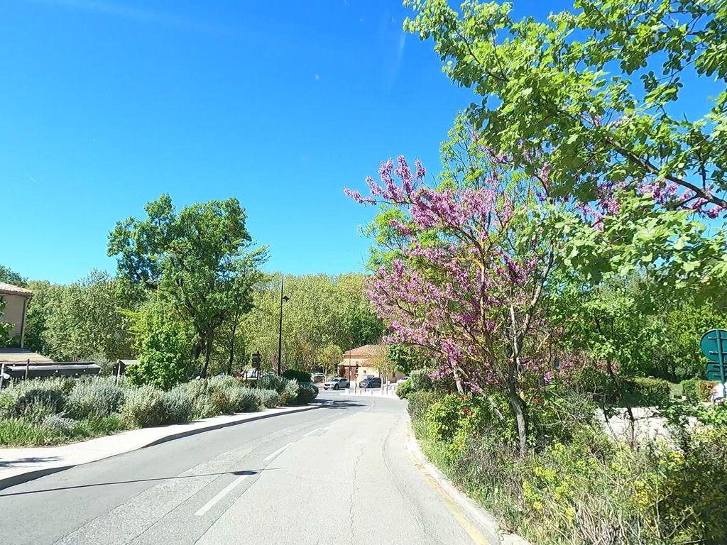 View at km 0.3
