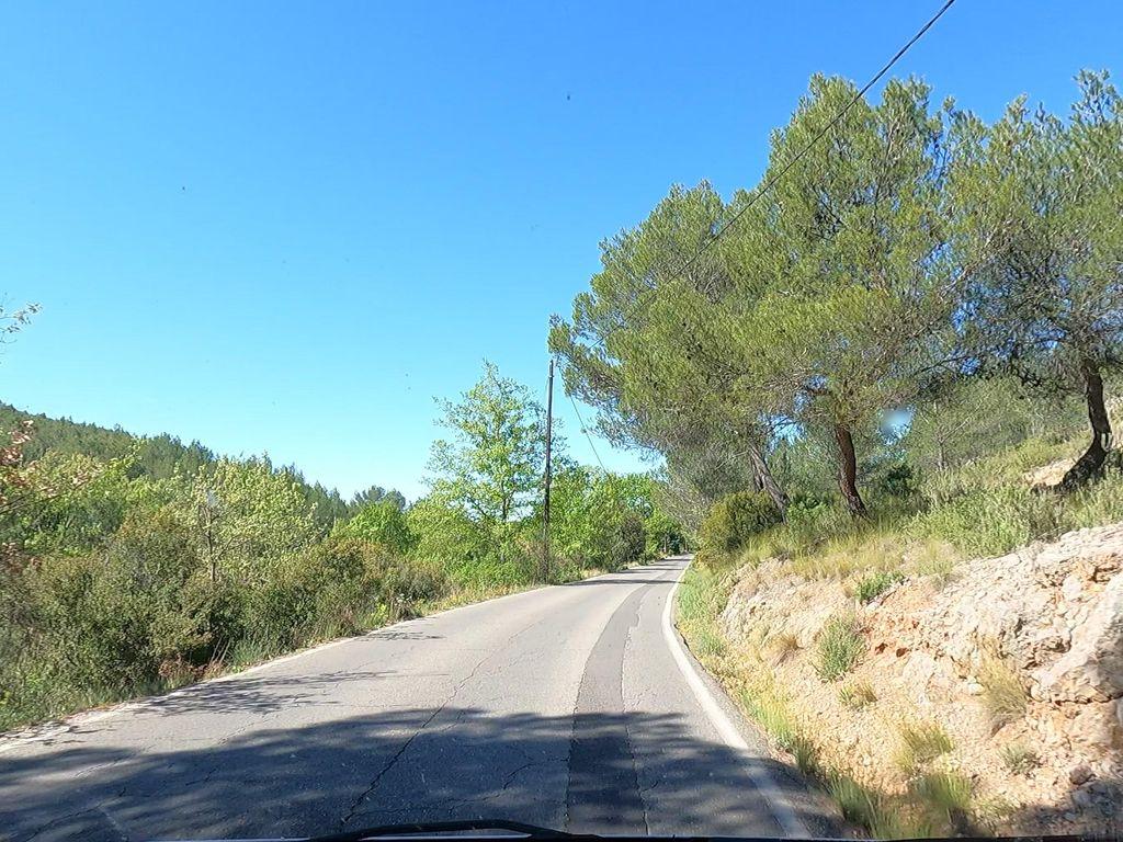 View at km 3.9