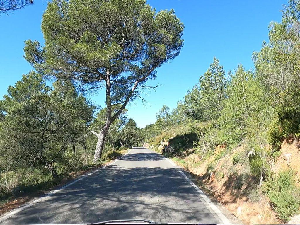 View at km 4.5