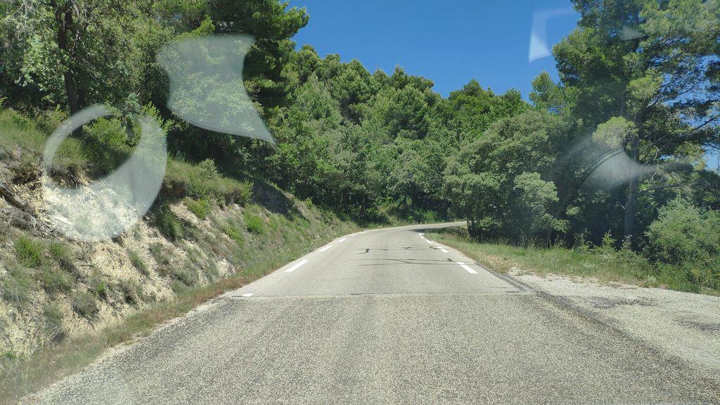 View at km 11.8