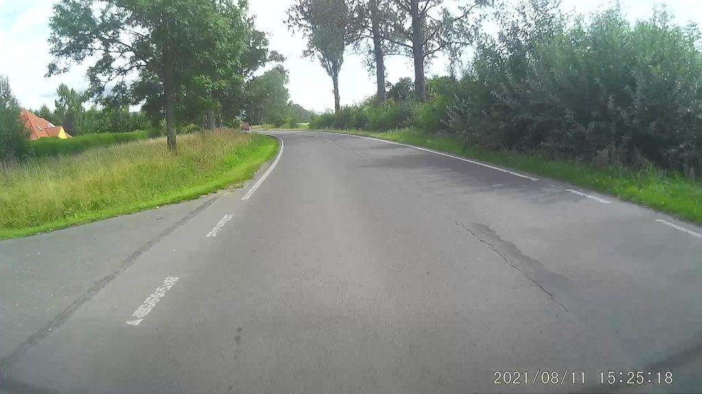 View at km 1.3