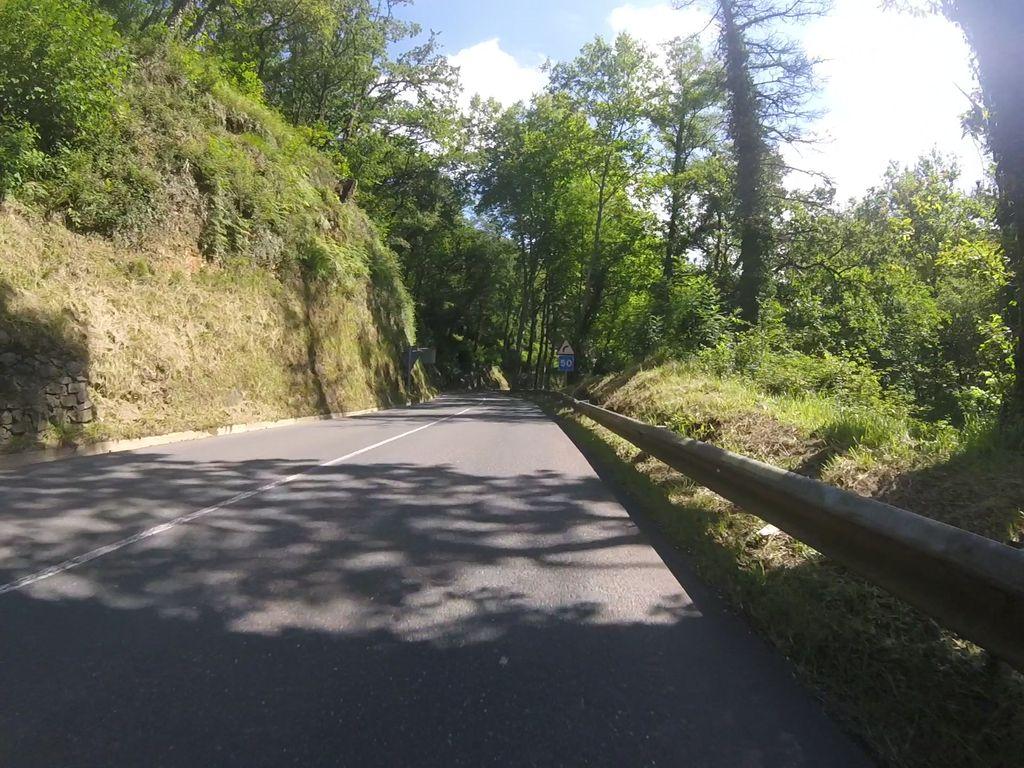 View at km 0.3