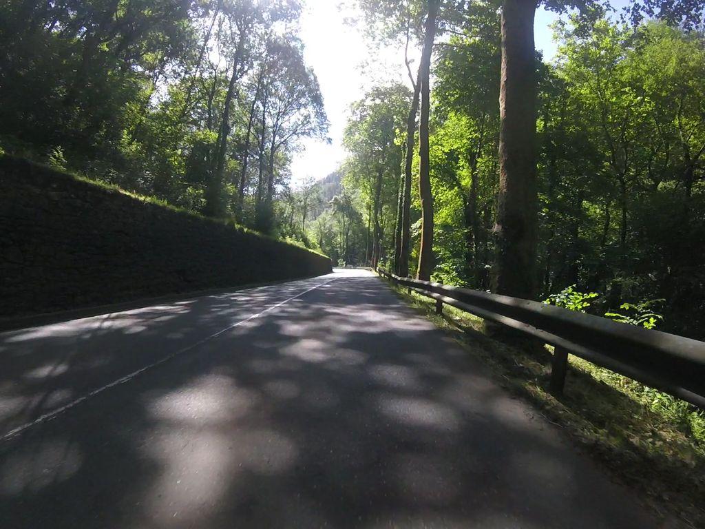 View at km 1.3