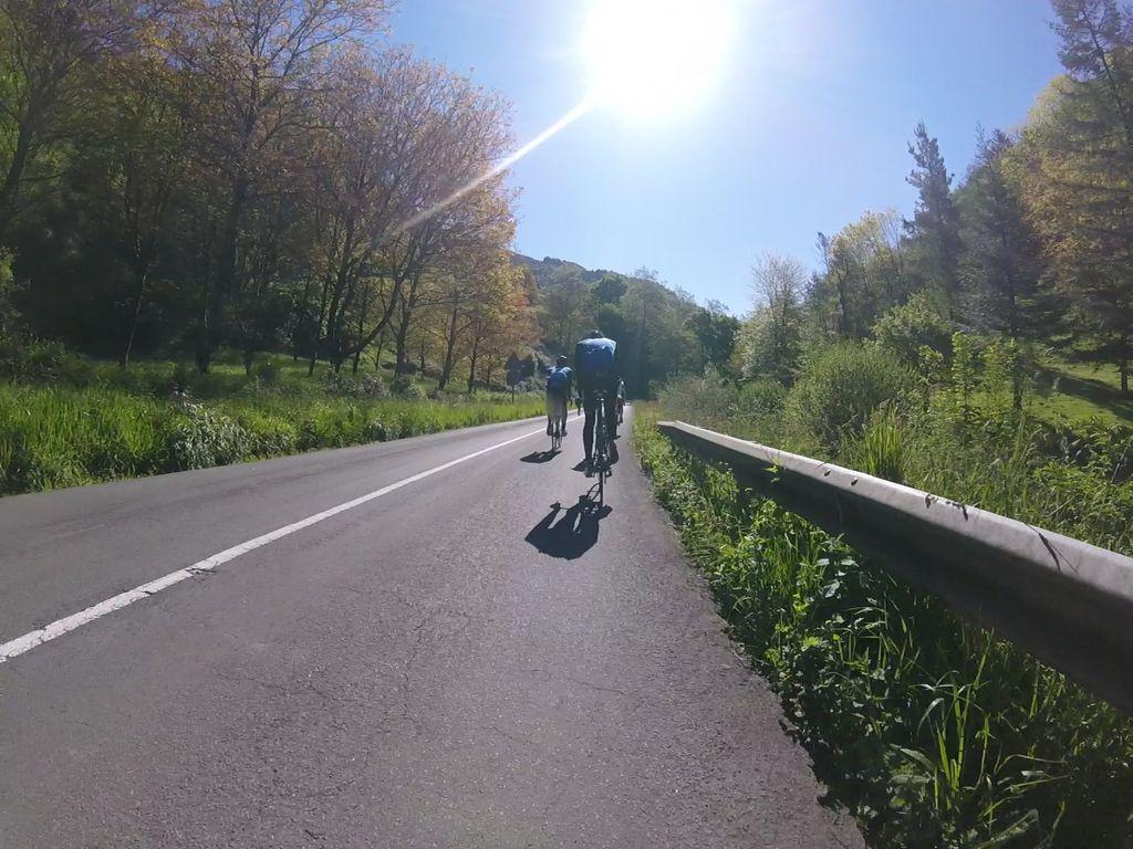 View at km 5.4