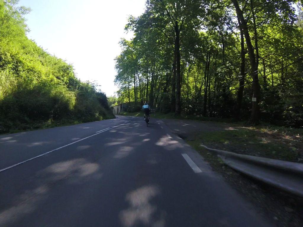 View at km 1.3