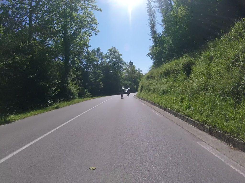 View at km 2.3