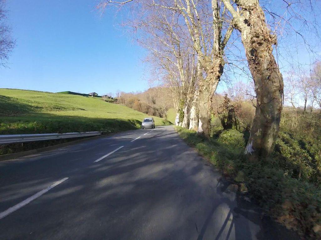 View at km 2.3