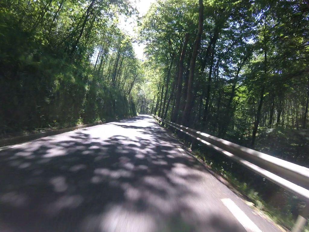 View at km 0.8