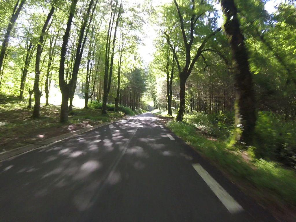 View at km 1.4