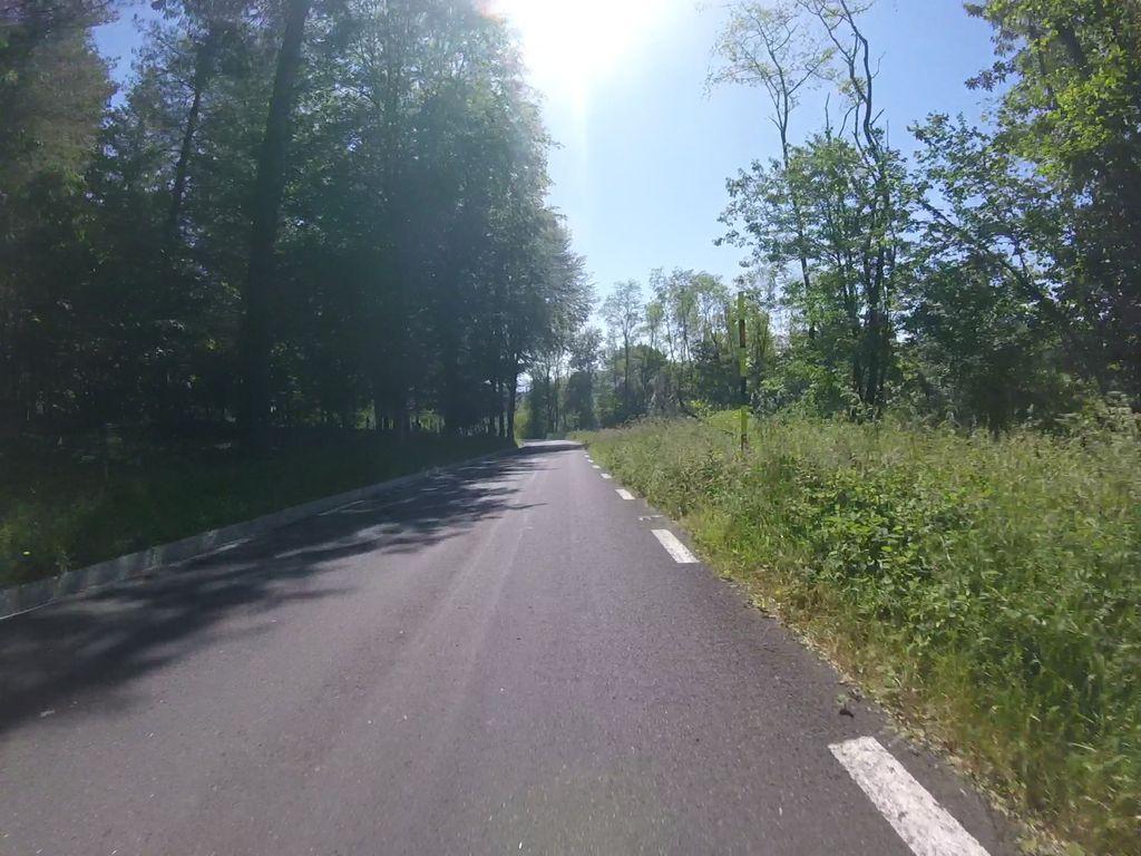 View at km 2.5
