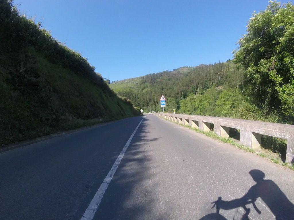 View at km 1.3