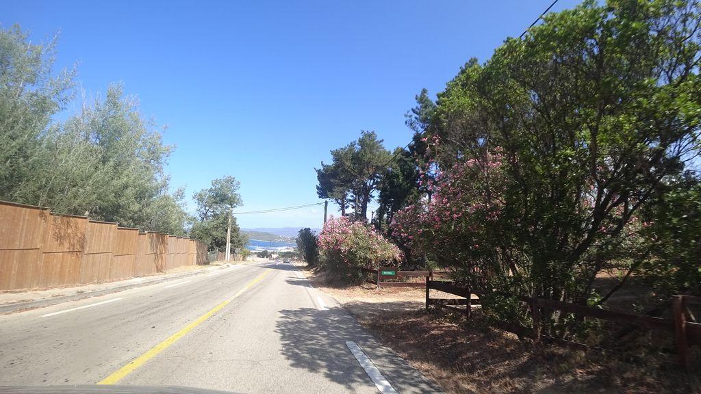 View at km 1.9