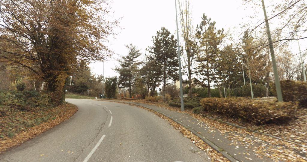 View at km 0.8